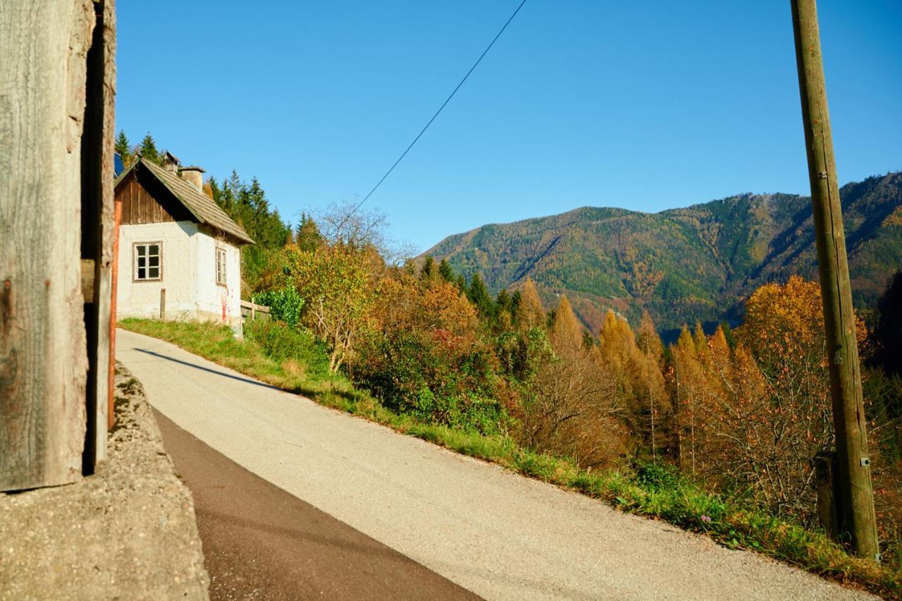 Romantische Ferienhuette Nationalpark Kalkalpen, Sonnig, 2 Schlafzimmer, Wlan Kleinreifling Exteriör bild