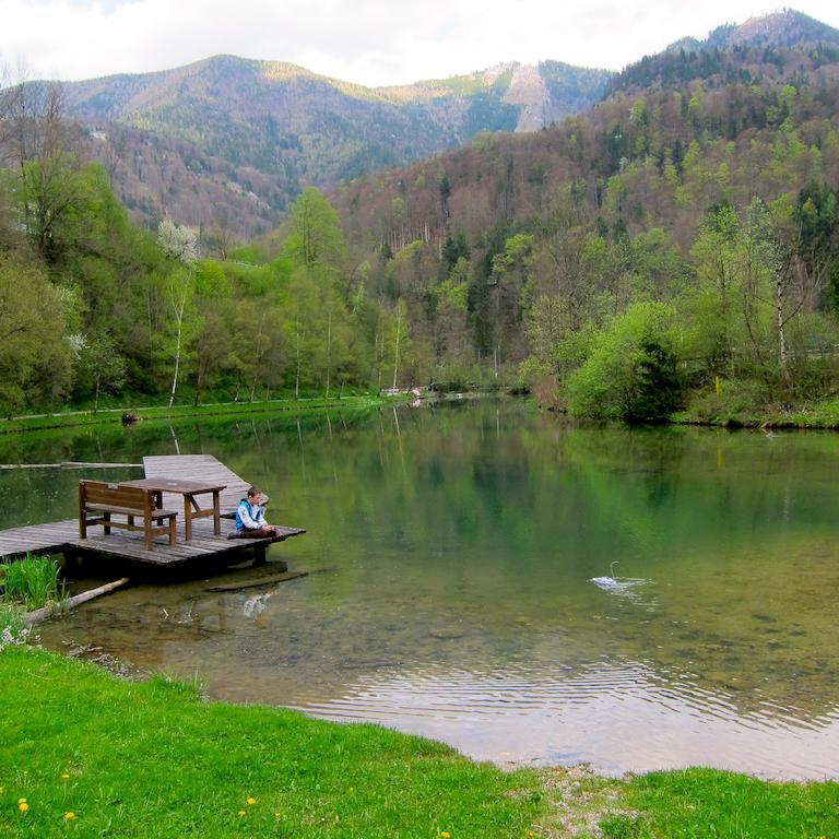 Romantische Ferienhuette Nationalpark Kalkalpen, Sonnig, 2 Schlafzimmer, Wlan Kleinreifling Exteriör bild