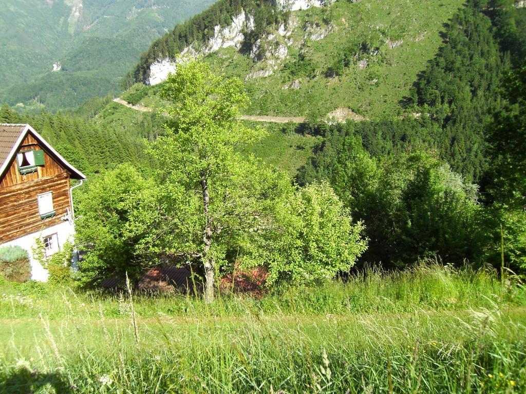 Romantische Ferienhuette Nationalpark Kalkalpen, Sonnig, 2 Schlafzimmer, Wlan Kleinreifling Exteriör bild